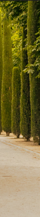 Derecha
